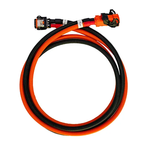 New Energy Vehicle Wire Harness